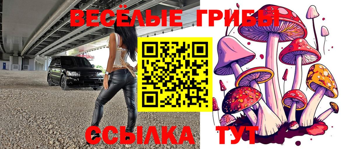 Галлюциногенные грибы Cubensis  Вход с VPN  Электросталь  Галлюциногенные грибы Magic Shrooms 